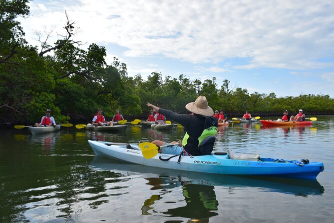 Mangrove Tunnels Kayak Tour (Photographer Included)- Marco Island - The flow of the trip: paddle, regroup, learn, and get photos