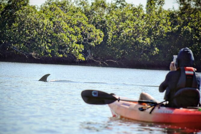Mangrove Tunnels Kayak Tour (Photographer Included)- Marco Island - Parking and getting to 1295 Capri Blvd