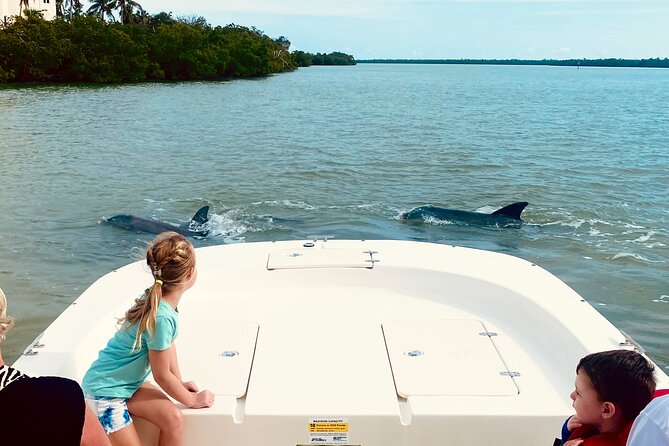 Marco Island and 10,000 Islands Sightseeing with Dolphin Tour - Key Things I’d Focus On