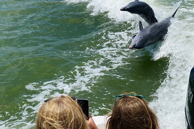 Marco Island and 10,000 Islands Sightseeing with Dolphin Tour - Captains Can Make or Break It: Casey, Jeff, Nick, Matt, and Kasey