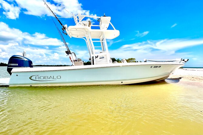 Marco Island Dolphin & Eco Tour – Private 2 Hour Wildlife Cruise - Key highlights you should know