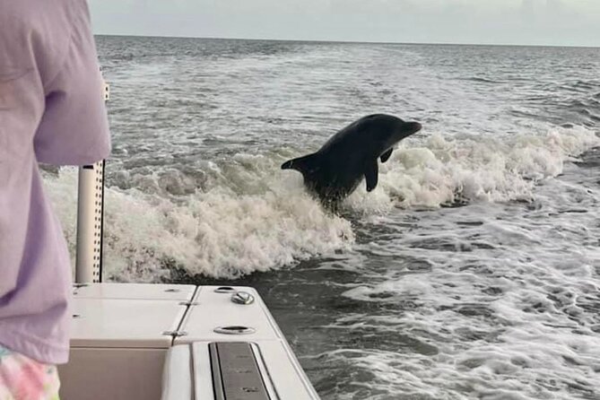 Marco Island Dolphin & Eco Tour – Private 2 Hour Wildlife Cruise - Boat-day comfort: private, family-friendly, and short enough to stay fun