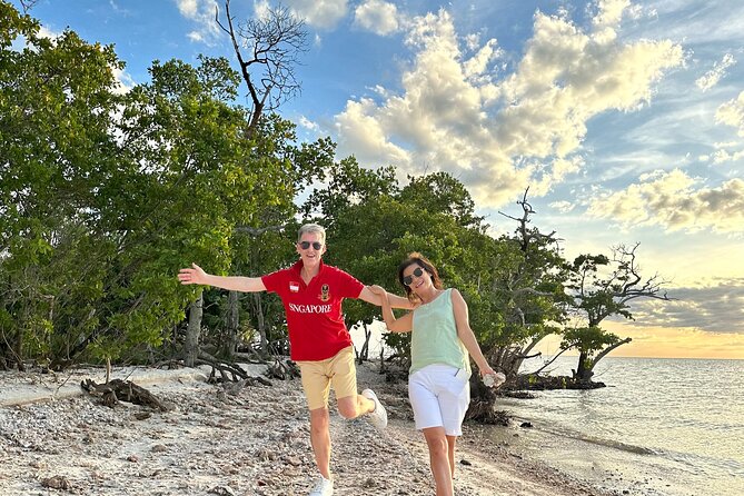 Marco Island Dolphin & Eco Tour – Private 2 Hour Wildlife Cruise - Price and value: $400 per group is really about the format