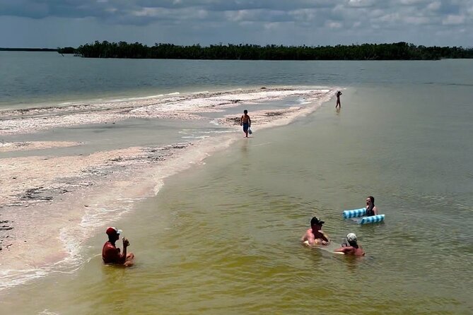 Marco Island Dolphin & Eco Tour – Private 2 Hour Wildlife Cruise - Getting there smoothly: Goodland Boat Park and parking reality