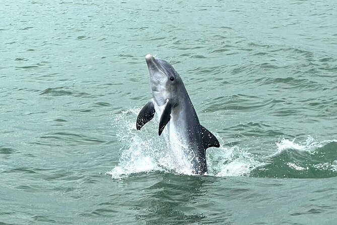 Marco Island Dolphin Watching & Tubing Adventure - Captain Clay’s Weather Sense Keeps the Day Fun and Safe