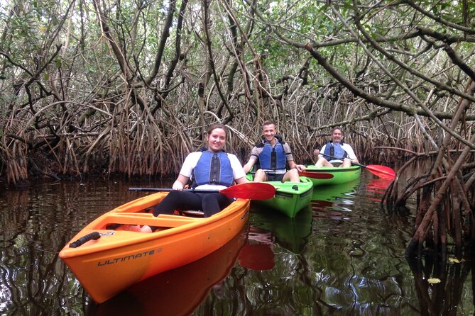 Marco Island Mangrove Tunnel and Maze Adventure Small group size - Key Highlights Before You Go