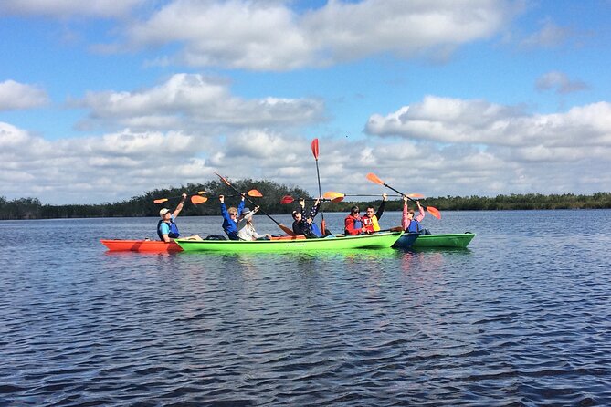 Marco Island Mangrove Tunnel and Maze Adventure Small group size - What You’ll See: Mangrove Maze Wildlife That’s Worth the Paddle