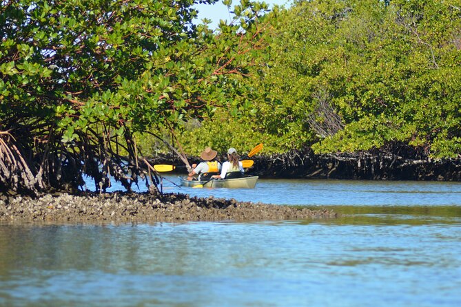 Marco Island Mangrove Tunnel and Maze Adventure Small group size - Price and Value: Is $59 a Good Deal for Two Hours?