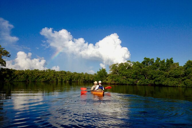 Marco Island Mangrove Tunnel and Maze Adventure Small group size - Who Should Book This Kayak Adventure (and Who Might Skip It)