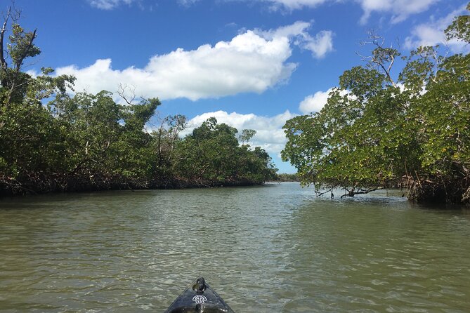 Marco Island Mangrove Tunnel and Maze Adventure Small group size - Practical Tips to Make the Most of Your Mangrove Maze Day