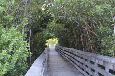 Marco Island Photography Experience - Cara’s approach: prompt communication, calm direction, real patience