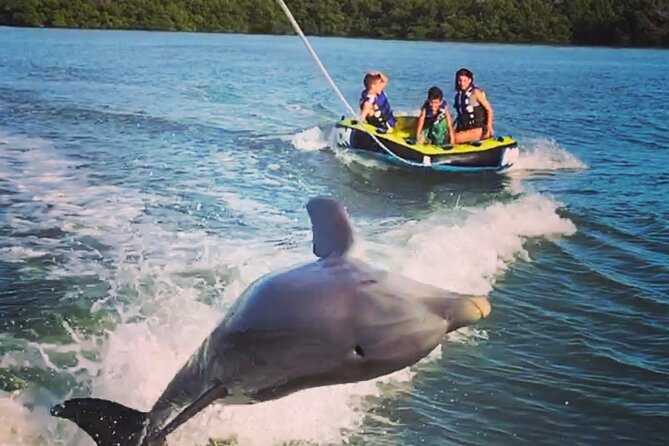 Marco Island Private Tubing, Dolphin Watching and Shelling Tour - Riding the 10,000 Islands From Marco Island