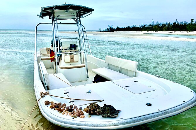 Marco Island Private Tubing, Dolphin Watching and Shelling Tour - Dolphin Watching in Mangroves: What Your Captain Helps You Spot