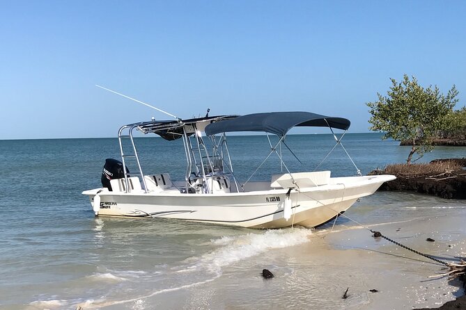 Marco Island Private Tubing, Dolphin Watching and Shelling Tour - Should You Book This Private Tubing, Dolphin Watching, and Shelling Tour?