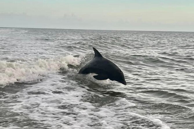 Marco Island Sunset Cruise- Private 2 Hour - The Beach/Shell Stop: A Small Break That Changes Everything