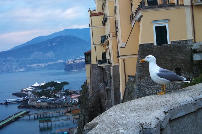 Minivan Tour | Positano Sorrento and Pompeii whit local driver - Who Should Book This Amalfi Coast + Pompeii Day Trip