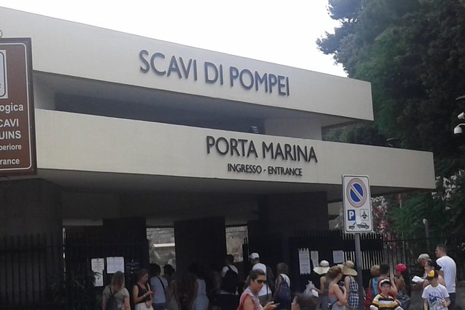 Minivan Tour | Positano Sorrento and Pompeii whit local driver - The Sorrento Stop: Gardens, Lemon Groves, and Food Time