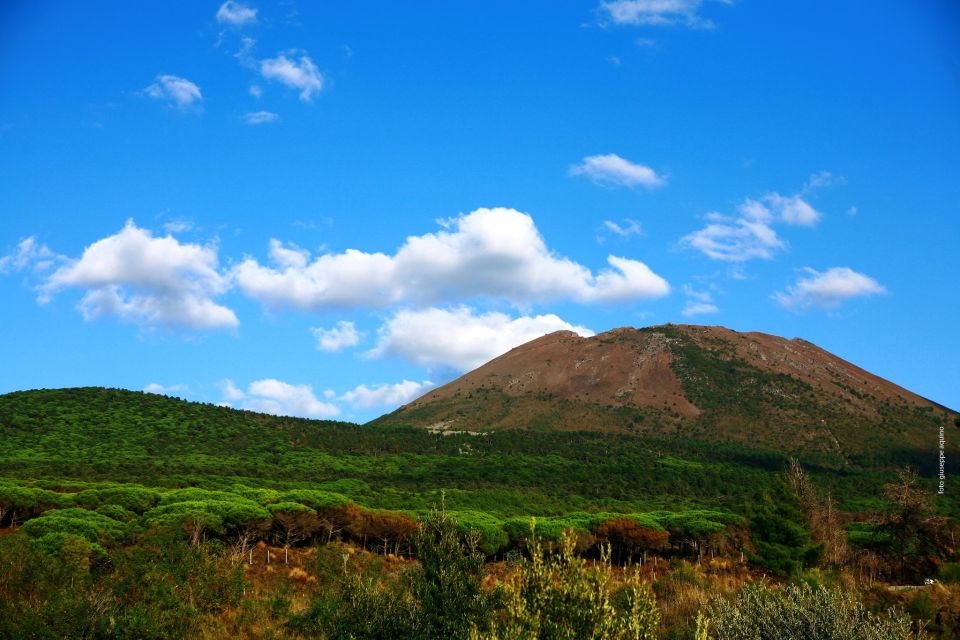 Mount Vesuvius 4-Hour Volcano Tour with Wine Tasting - Your Two Route Choices: Crater Path vs. Valley of Hell