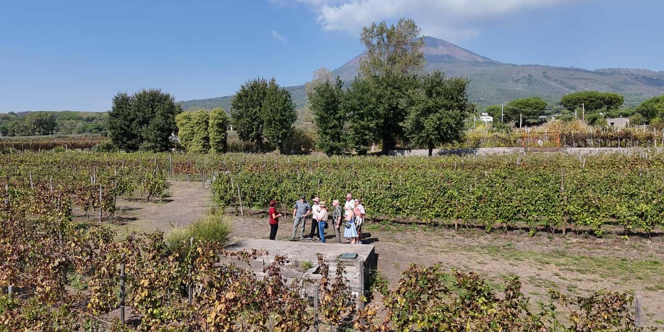 Mount Vesuvius: 5 Wine Tastings with Tour & Lunch Included - Quick Tips So Your 2 Hours Go Smoothly