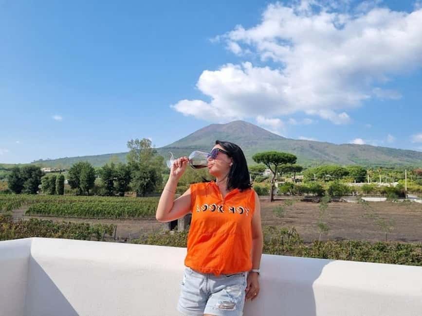 Mount Vesuvius: 5 Wine Tastings with Tour & Lunch Included - Cellar Tour With a Grape-to-Bottle Focus