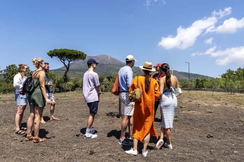Mount Vesuvius: 5 Wine Tastings with Tour & Lunch Included - Lacryma Christi DOC and the Five Tastings That Teach You to Taste