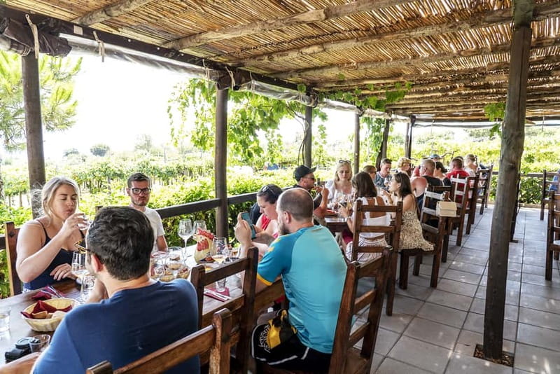 Mount Vesuvius: 5 Wine Tastings with Tour & Lunch Included - Who This Tour Fits Best (and Who Should Skip It)