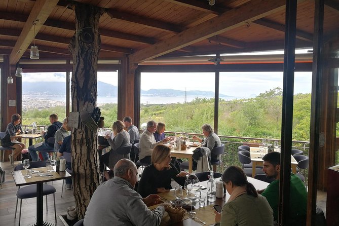 Mount Vesuvius Shore Tour, Pompeii & Winery Vesuvius Winery - Vesuvius and Pompeii in one long day: how the 8–9 hours work