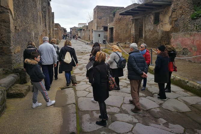 Mount Vesuvius Shore Tour, Pompeii & Winery Vesuvius Winery - Pompeii with an authorized guide: what you’ll actually get from the ruins