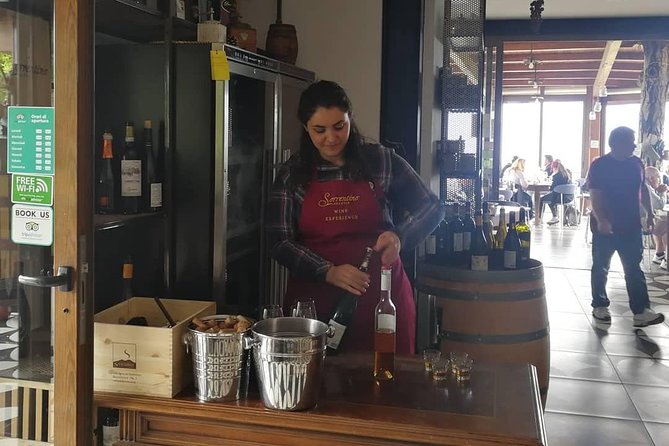 Mount Vesuvius Shore Tour, Pompeii & Winery Vesuvius Winery - Vesuvius National Park crater visit: the view you came for