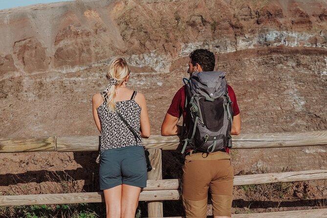 Mount Vesuvius Skip the Line Ticket + Multilingual Audio Guide - Key highlights you’ll care about