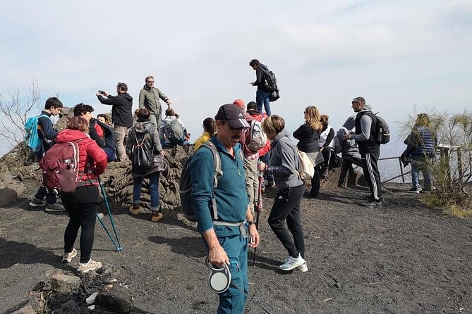 Mount Vesuvius tour by bus and ticket included from Ercolano - Tickets, mobile entry, and what to do if you’re thinking guided tour