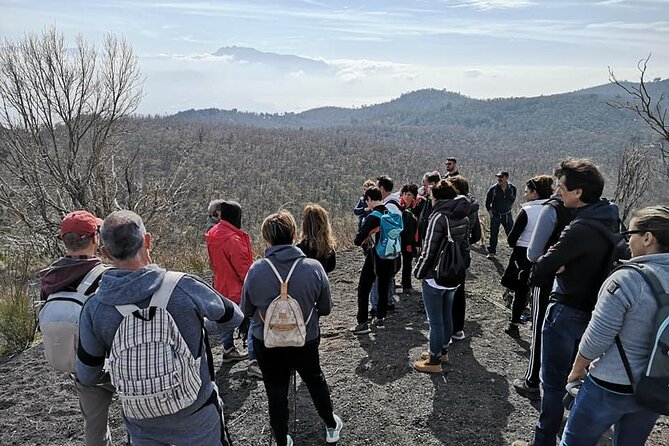 Mount Vesuvius tour by bus and ticket included from Ercolano - The bus ride up: windy roads, full coach, and real driver skill