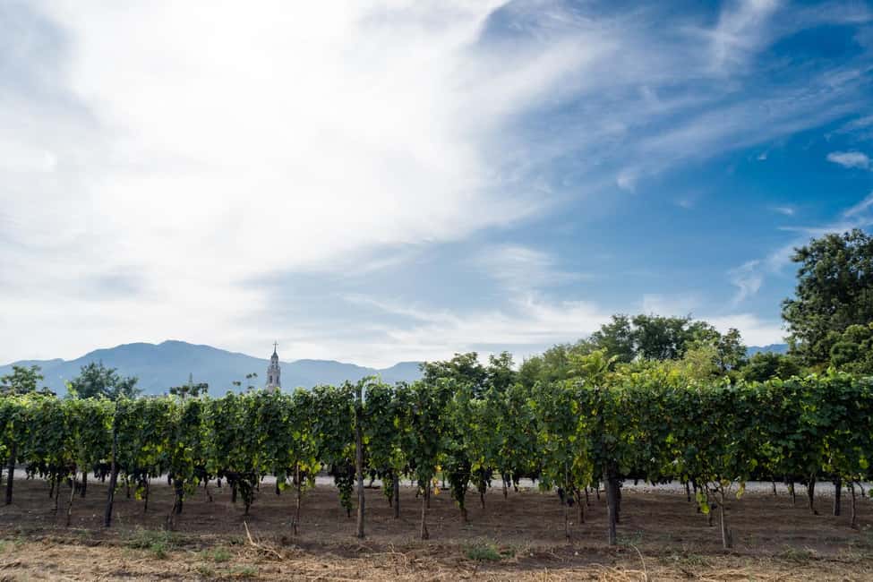 Mount Vesuvius Wine Tasting and Lunch from Pompeii - Key highlights to look for