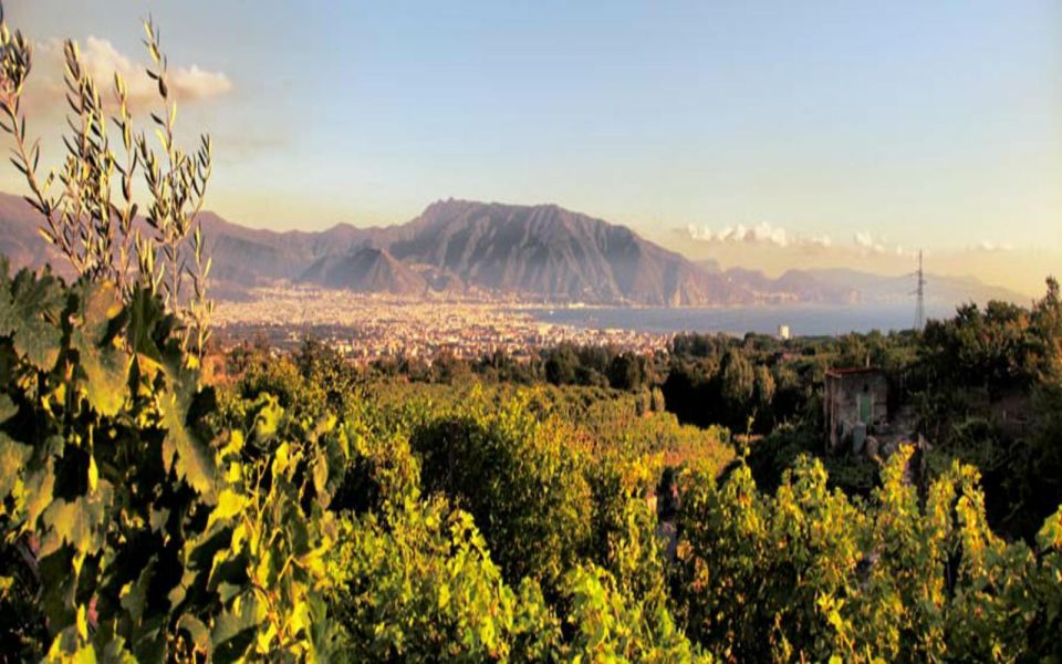 Mount Vesuvius Wine Tasting and Lunch from Pompeii - Price and value: what $96.29 buys you