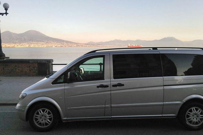 Mt Vesuvius - Stop at Vesuvius National Park: what happens in the two hours