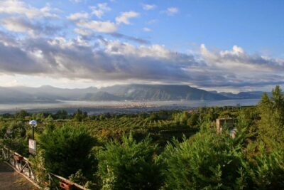 Mt. Vesuvius Wine Tasting and Lunch Experience from Pompeii - Vineyard tour on Vesuvius: what you’ll actually see and learn