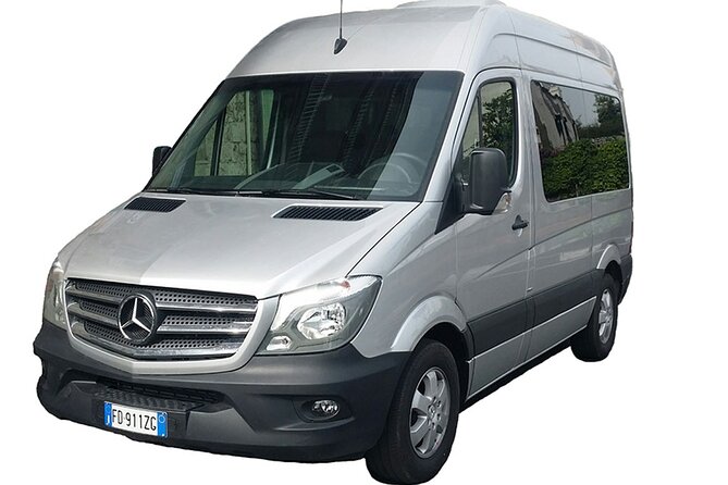 Naples airport/station to Positano or Ravello private arrival transfer - Practical tips so your pickup goes smoothly