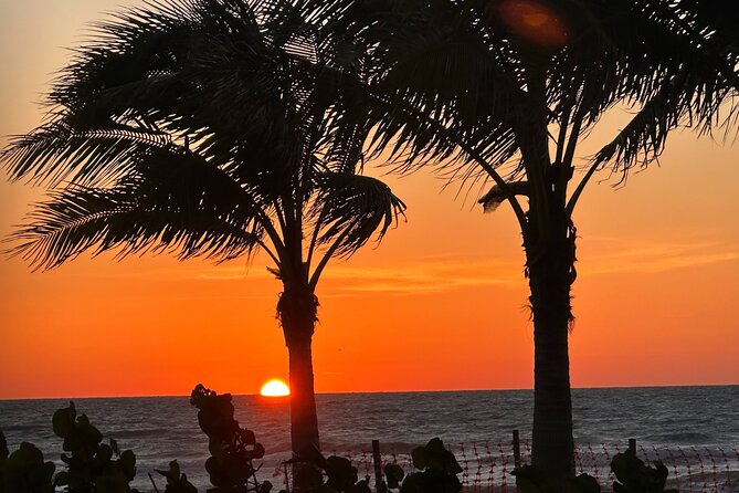 Naples Famous Sunset Tour -Trike Tour at Sunset All Ages Electric - Electric Trikke at 6:30 pm: the pacing that fits sunset
