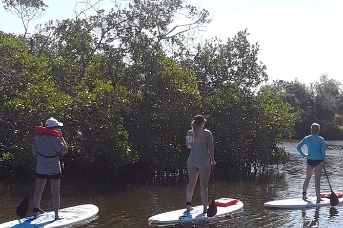 Naples Fl, Paddleboard Mangrove Forest Tour - Meeting Spot Details: Confirming the Correct Location