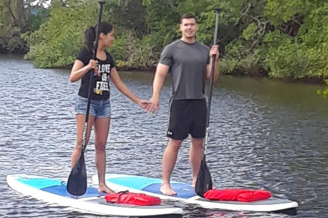 Naples Fl, Paddleboard Mangrove Forest Tour - SUP Instruction and Safety Gear: Included, Not Optional
