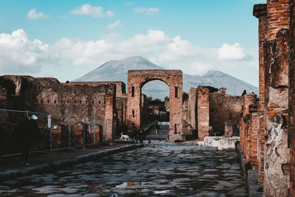 Naples: Half-Day Pompeii Tour - Photo stops: how to use the brief pauses without losing the flow