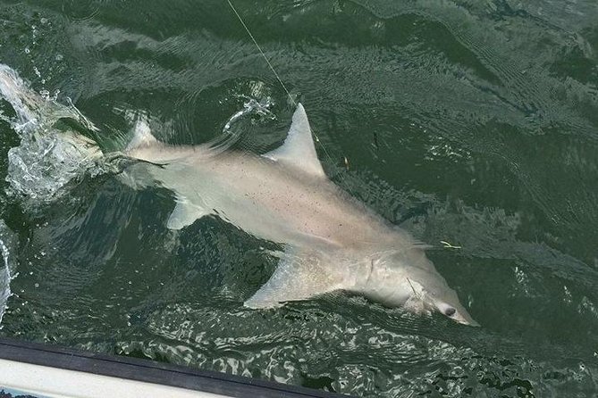 Naples Inshore Fishing Charters - Private Naples inshore fishing, on your clock