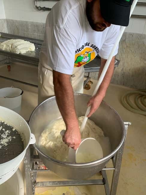 Naples: Mozzarella experience - Key highlights you’ll care about