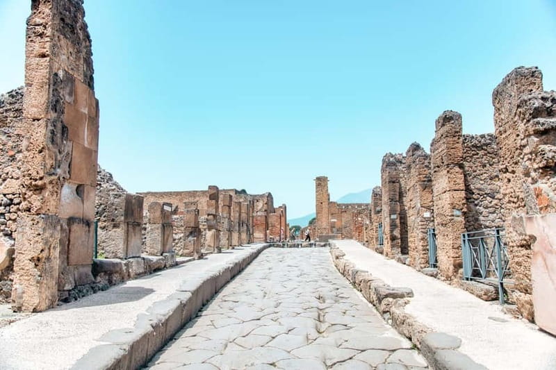 Naples: Pompeii and Vesuvius Day Trip - Drivers and the Small Details That Make the Day Easier
