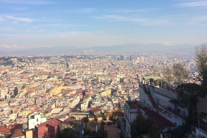 Naples, Pompeii and Vesuvius full day tour from Naples - Tickets and the Skip-the-Line Factor (What It Means for You)