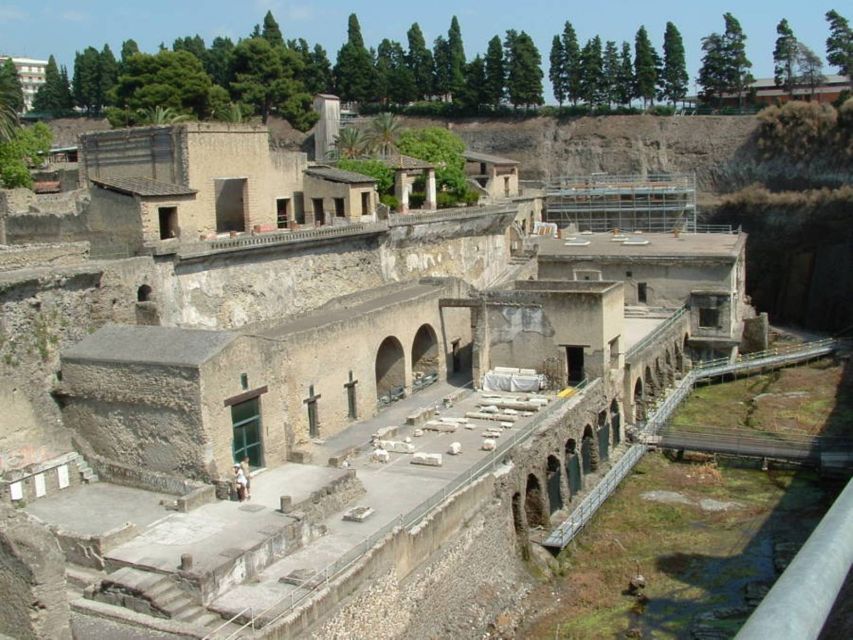 Naples: Pompeii, Vesuvius and Wine Tasting Tour - A tight Naples-to-Vesuvius-to-Pompeii day in a private van