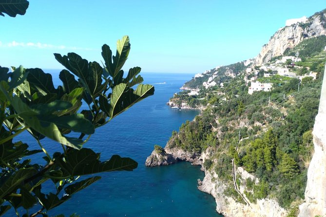 Naples port tour Sorrento and pompeii and overview of positano - Can You Tailor It? Add-Ons and Extra Stops