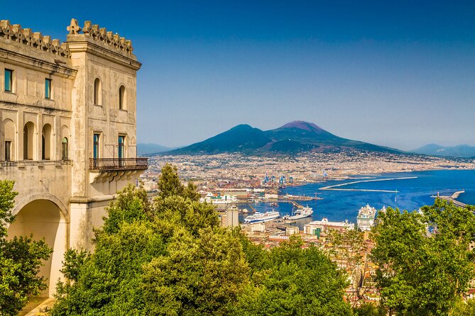 Naples/Salerno Port: Pompeii & Vesuvius - lunch or wine tasting - Vesuvius National Park: The 2-Hour Window for Views and Choices