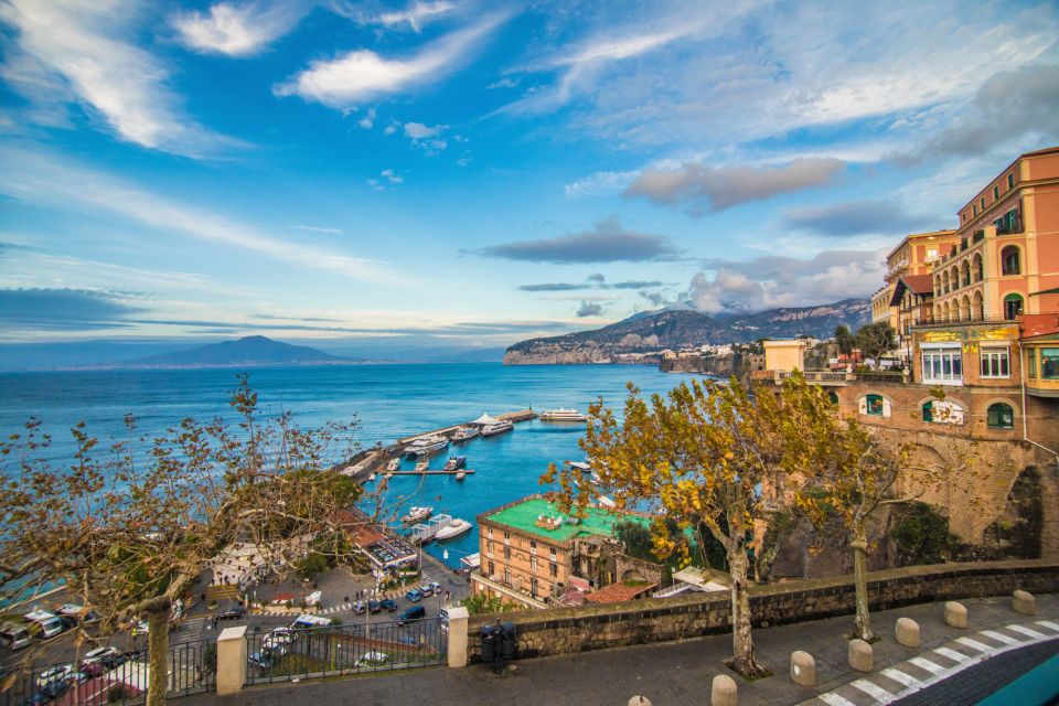 Naples: Sorrento and Pompeii with lunch & tickets included - Limoncello Distillery Visit: Not Just a Sip, but the Production Story