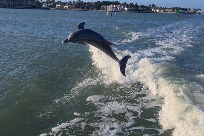 Naples Sunset Cruise - Complimentary Charcuterie and wine - What You’ll See Along the Way (Even Beyond Dolphins)